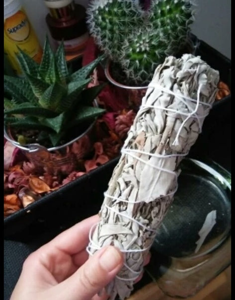 Set of 5 White Sage Wands 4 inches + FREE 1 Palo Santo Wood Stick