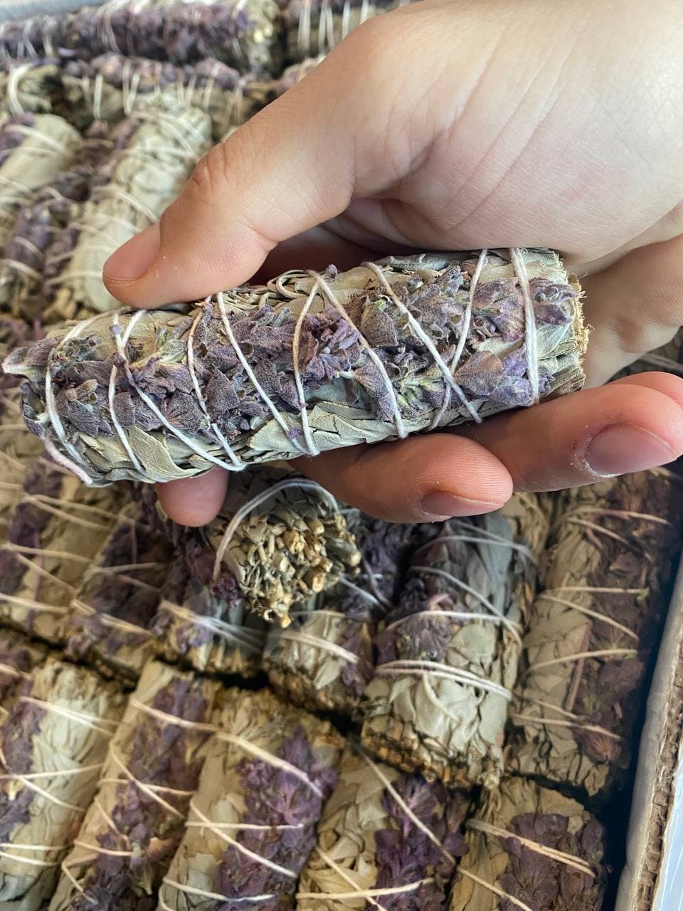 White Sage mix with Lavender 4 inches