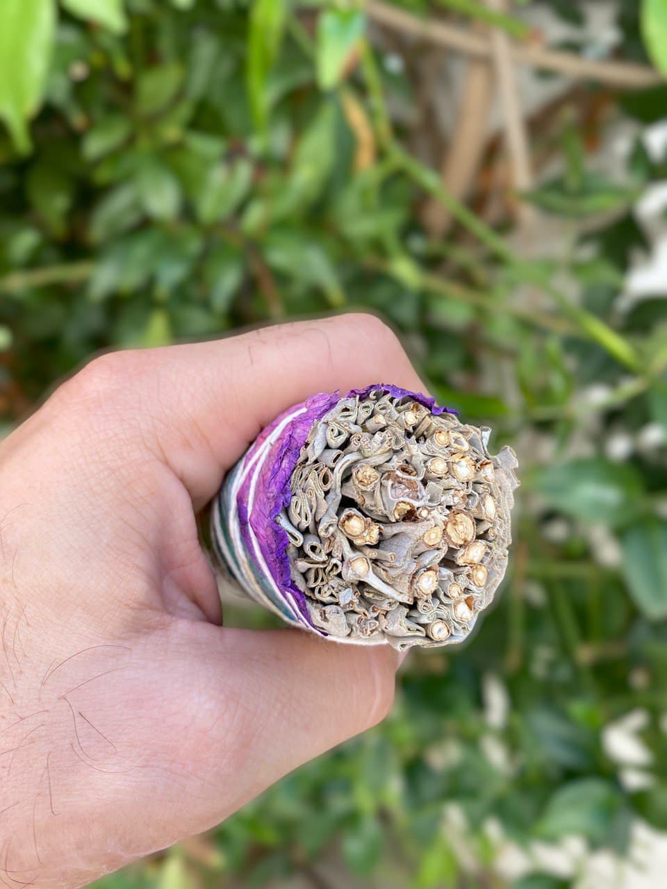 2 pcs 7 Chakra White Sage Wand Stick from California mini size 4 in