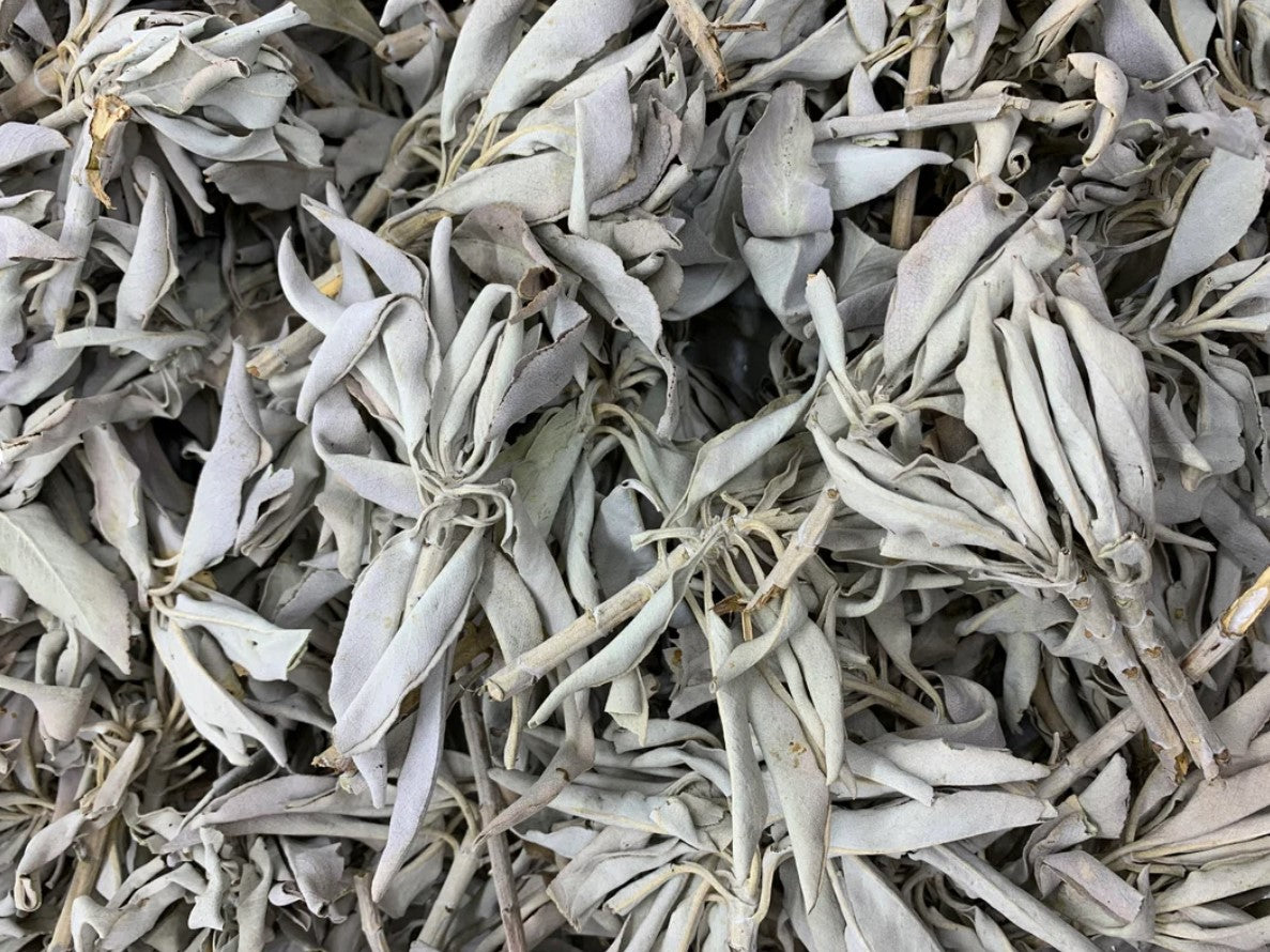 1 LB ORGANIC White Sage Smudge Leaves & Clusters Salvia Apiana Medicinal Rare