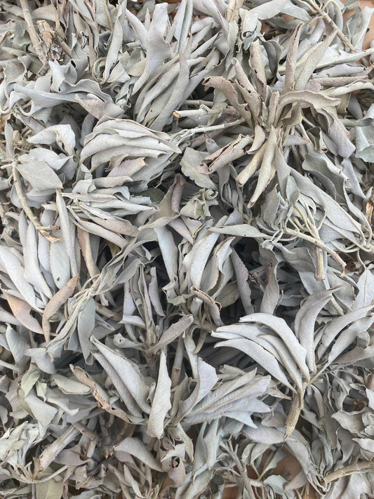 1 LB ORGANIC White Sage Smudge Leaves & Clusters Salvia Apiana Medicinal Rare