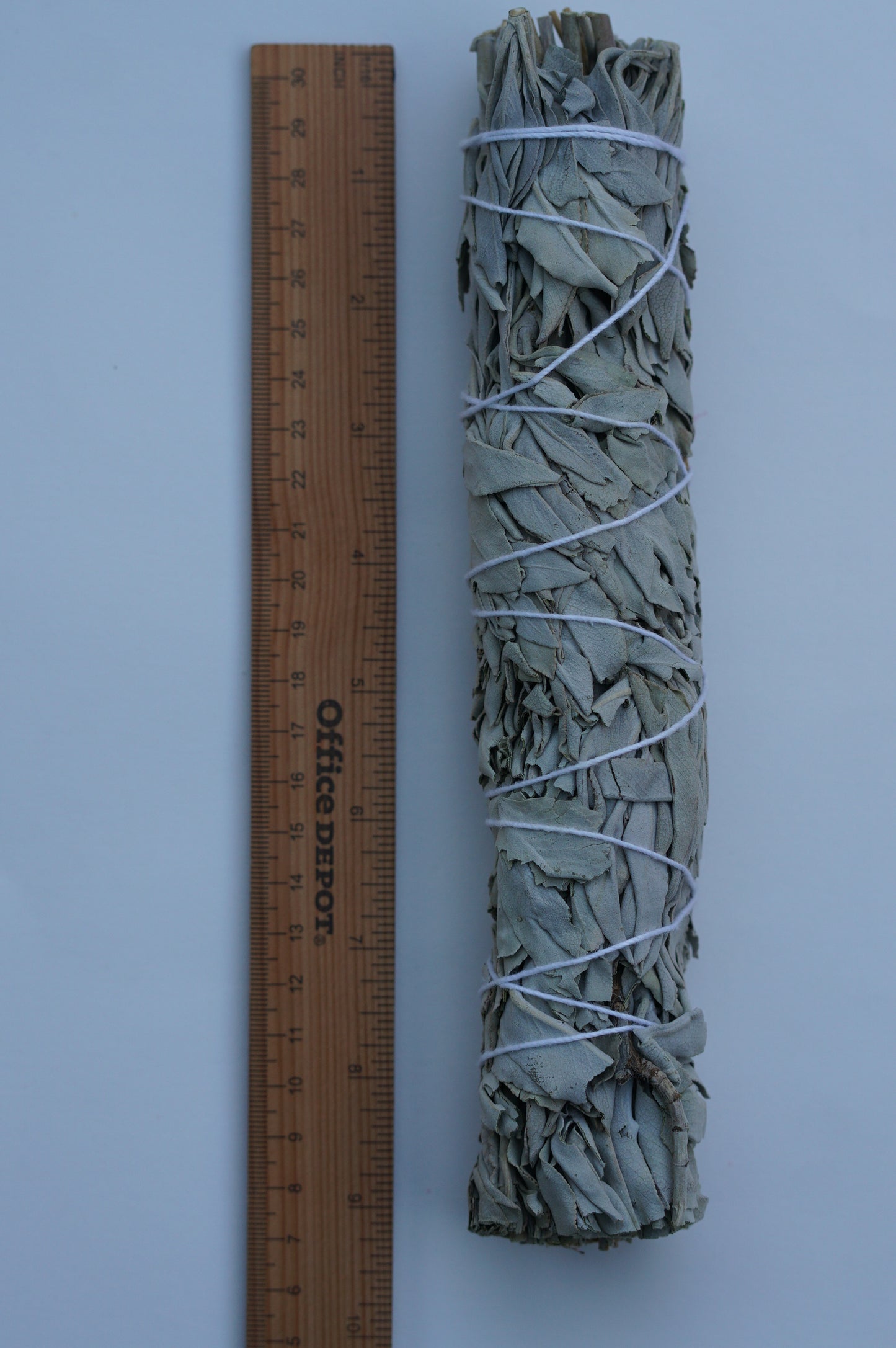 Jumbo California White Sage