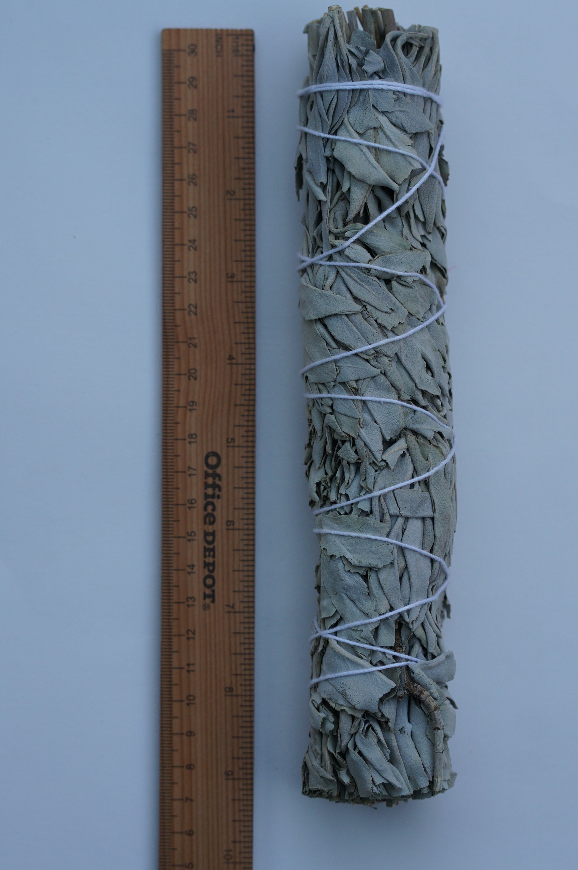 Jumbo California White Sage