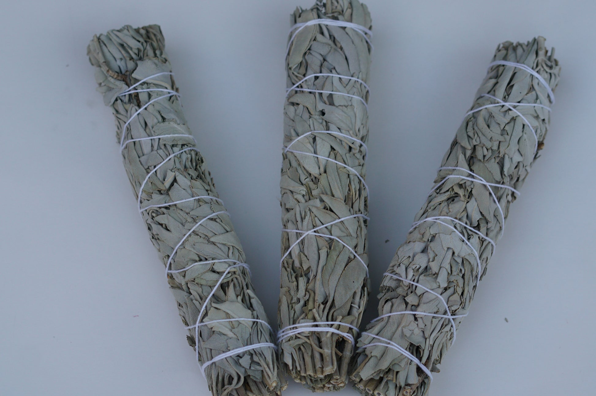 xl sage smudging bundle