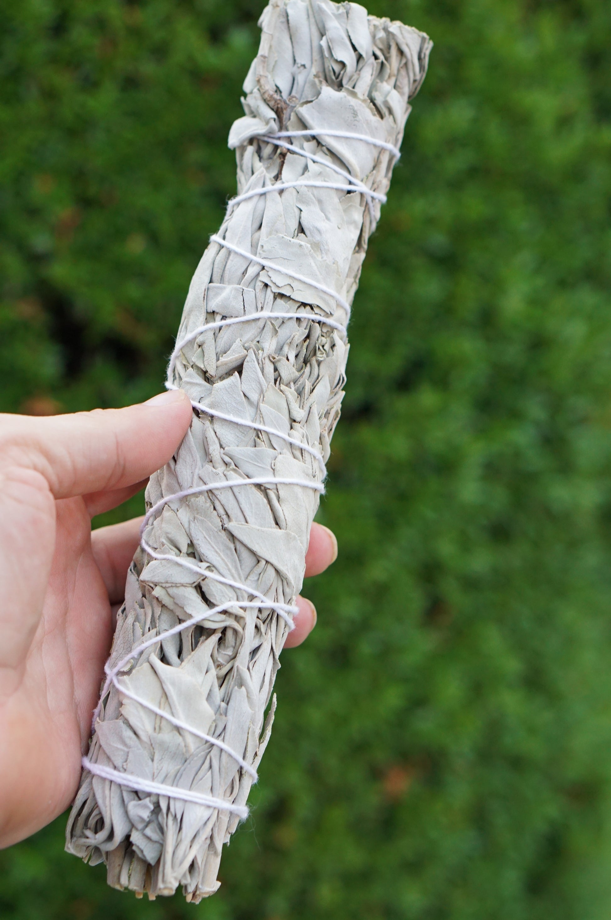 Large sage wand