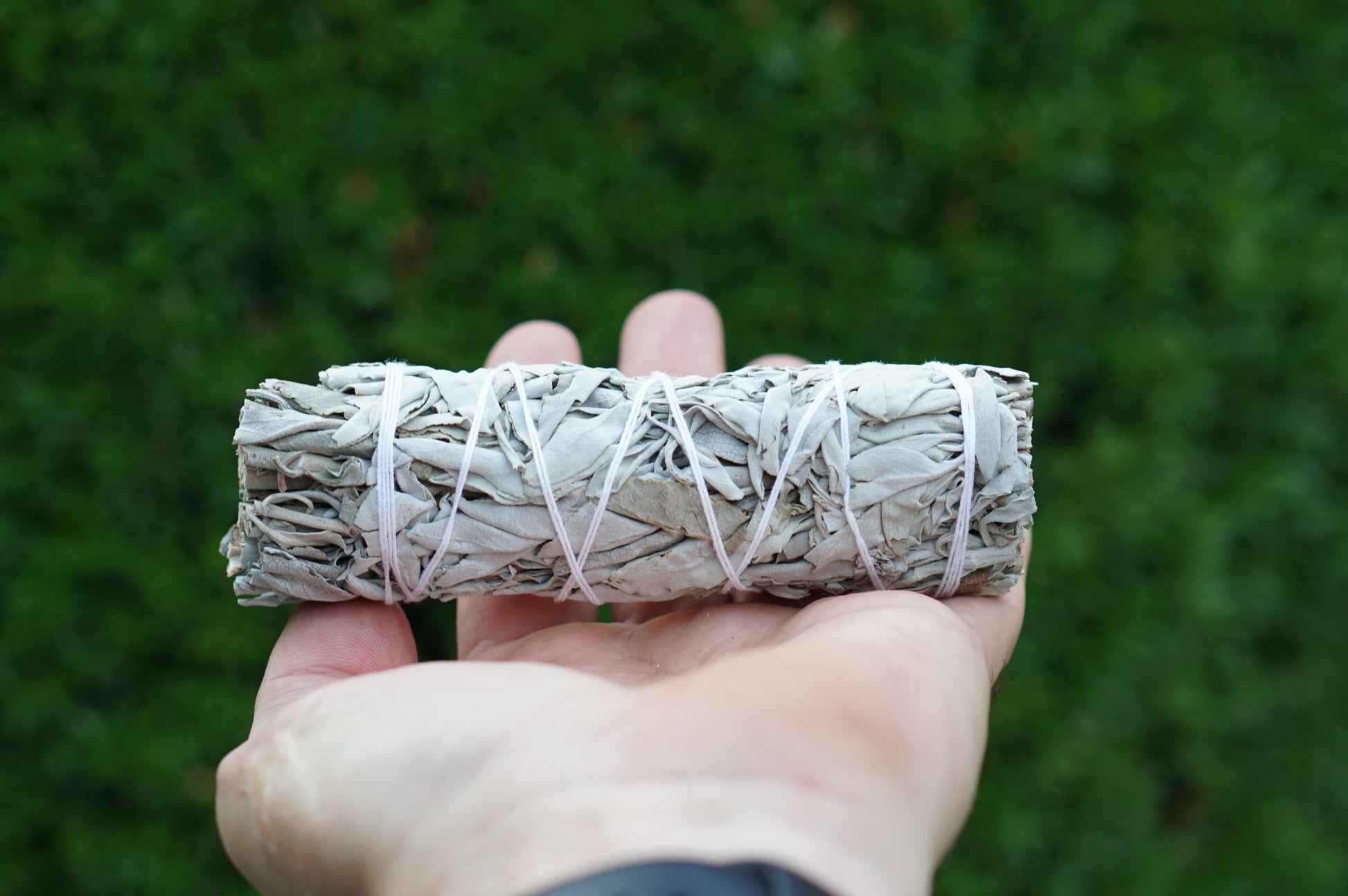 White Sage Smudge Stick 4 inches Long SET OF 5 Bundle