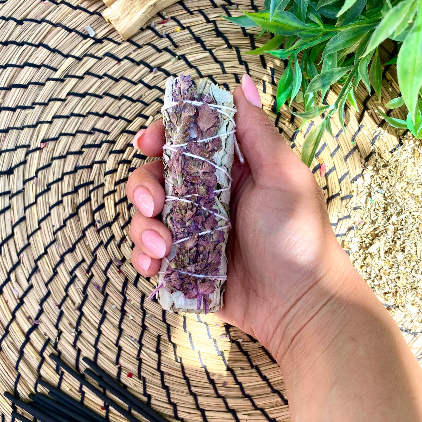 White Sage mix with Lavender 4 inches