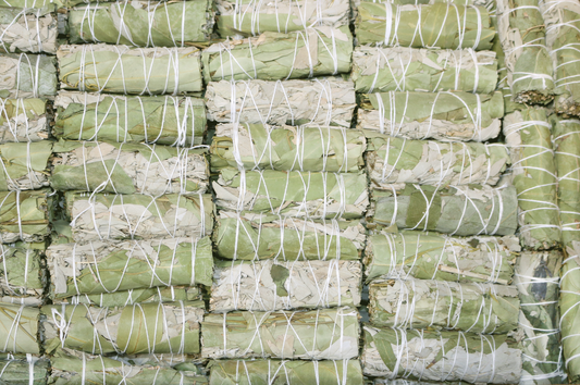 White Sage & Eucalyptus Smudge Wands Bundle California Wholesale Bulk Price | Set of 1, 5, 10, 20, 50, 100 or 400 USDA Organic White Sage