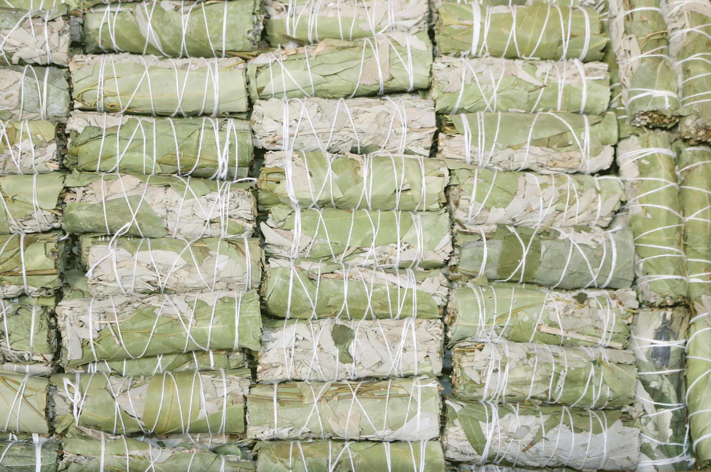 White Sage & Eucalyptus Smudge Wands Bundle California Wholesale Bulk Price | Set of 1, 5, 10, 20, 50, 100 or 400 USDA Organic White Sage