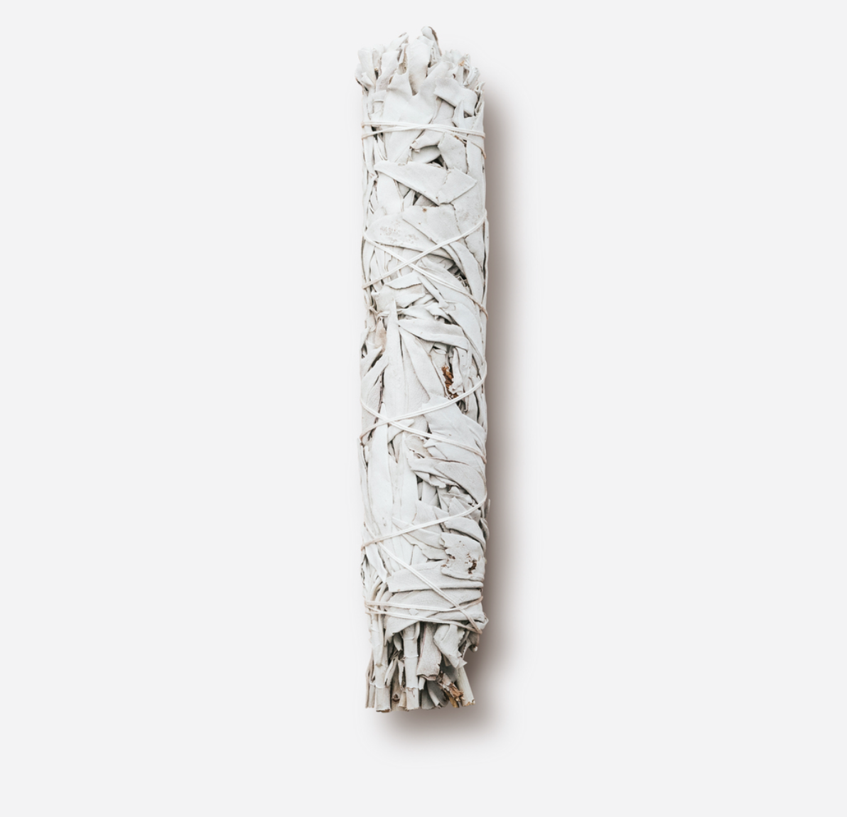 Large California White Sage