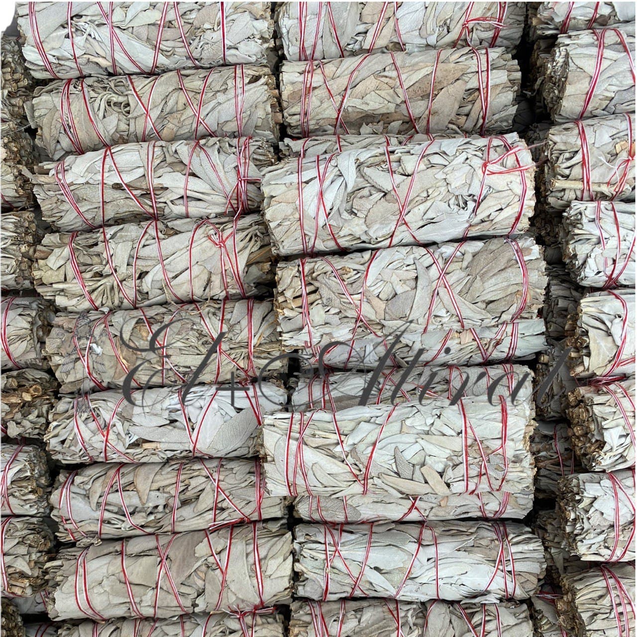 White Sage Bundle California Smudge Sticks 4 inch long