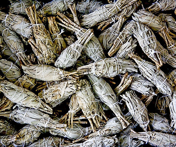 Organic White Sage Mini cleansing sage
