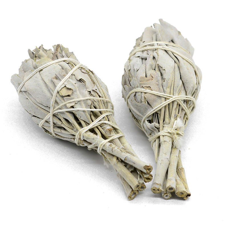 Organic White Sage Mini