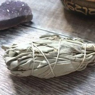 Organic White Sage Mini