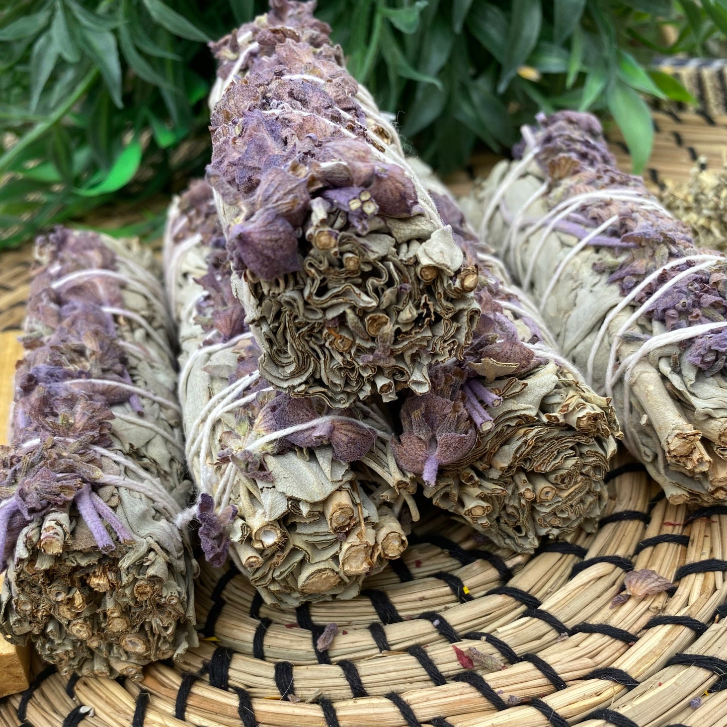 White Sage & Lavender Smudge Sticks (4") Wholesale Bulk Price | Set of 1, 5, 10, 50, 100, 500 USDA Organic White Sage Bundle
