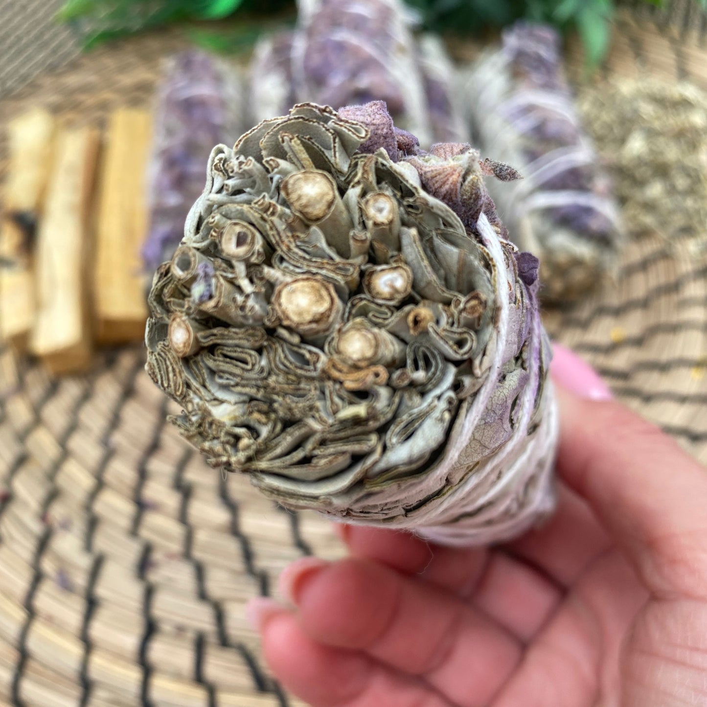 White Sage & Lavender Smudge Sticks (4") Wholesale Bulk Price | Set of 1, 5, 10, 50, 100, 500 USDA Organic White Sage Bundle
