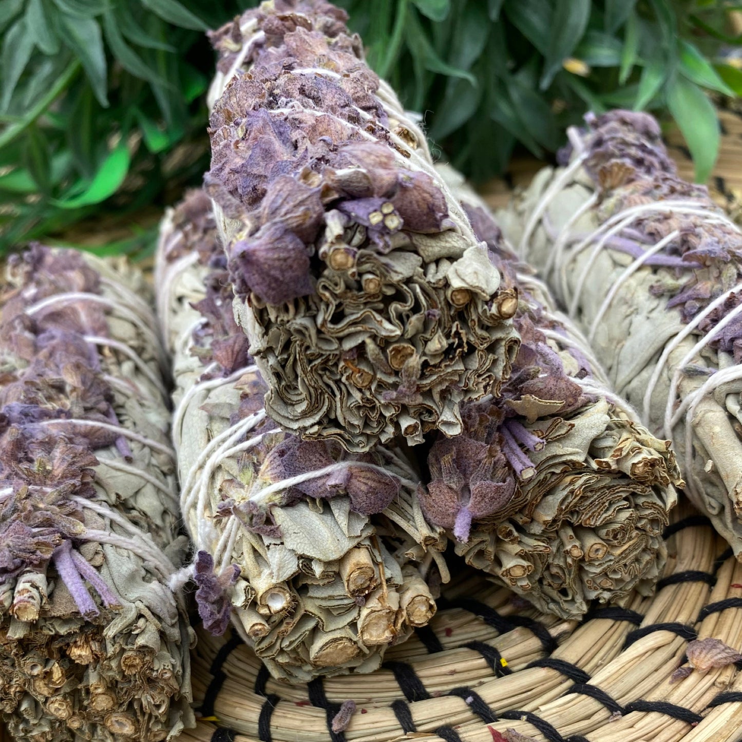 White Sage & Lavender Smudge Sticks (4") Wholesale Bulk Price | Set of 1, 5, 10, 50, 100, 500 USDA Organic White Sage Bundle